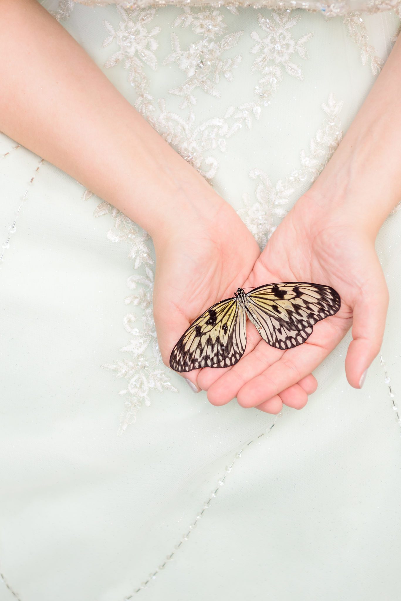 Butterfly Bridals in a Garden | Savvy Leigh Photography