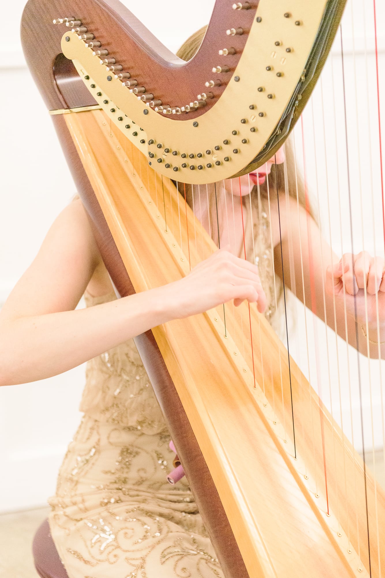 A harpist plays ceremony music as the bride walks down the aisle in the Distillery in Garner, NC.