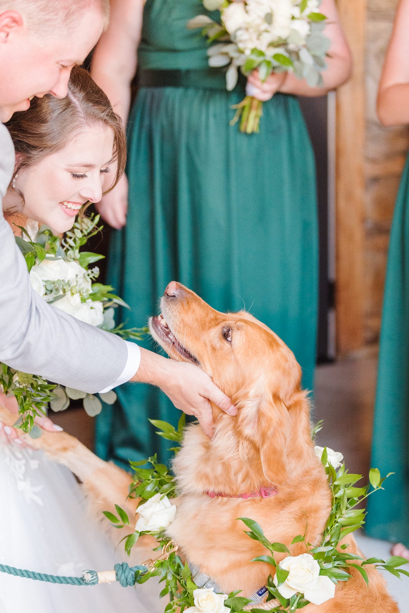 After their wedding ceremony at Low Meadows Estate, the bride and groom play with their golden retriever. 
